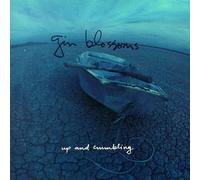 Gin Blossoms - Up and Crumbling