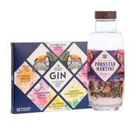 Gin Infusion Bags & Passionfruit Martini Kit