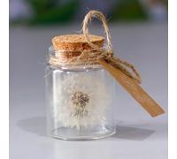 Ginddy Real Dandelion in a Glass,Dandelion Gift Handmade Spiritual Gifts for Women Girlfriend Birthday Mother's Day Gifts for Mum Kids Best Friend