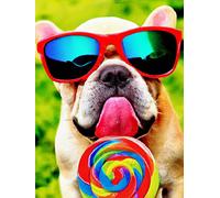 Ginfonr 5D Diamond Painting Kit Lollipop Sunglasses Dog Full Drill by Number Kits, French Bulldog DIY Paint with Diamonds Art Colorful Sugar Rhinestone Craft Decor for Home (12x16 inch)