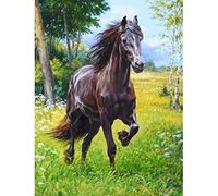 Ginfonr 5D DIY Diamond Painting Grassland Animals by Number Kits Full Drill for Adults, Black Horse Paint with Diamonds Art Space Rhinestone Cross Stitch Craft Decor (12x16inch)