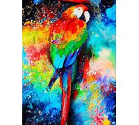 Ginfonr 5D DIY Diamond Painting Parrot Colorful by Number Kits Full Drill for Adults, Paint with Diamonds Art Animal Color Cross Stitch Embroidery Rhinestone Craft for Home Wall Decor 12x16 Inch