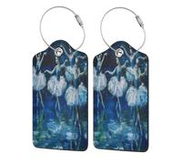 Ginfult Art Painted Swan Ballet Dancer 2 Pack Leather Luggage Tags for Suitcases, Travel Name Tags with Stainless Steel Loop, Privacy ID Tag
