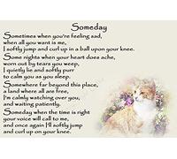 Ginger Cat Bereavement Memorial Flexible Fridge Magnet Sympathy Gift - Someday