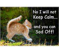 Ginger Cat Funny Fridge Magnet - Ideal Birthday or Christmas Gift for The cat Lover