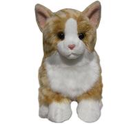 Ginger Cat Soft Toy 12"