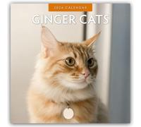 Ginger Cats 2026 Square Wall Calendar