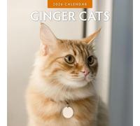 Ginger Cats - 2026 Square Wall Calendar - by Red Robin Publishing