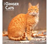 Ginger Cats 2027 12 X 24 Inch (Hanging) Monthly Square Wall Calendar Plastic-Free: Original BrownTrout-Kalender [Mehrsprachig] [Kalender]