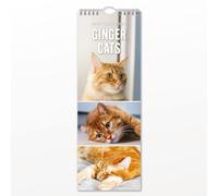 Ginger Cats - 2027 Slim Wall Calendar- By Red Robin Publishing