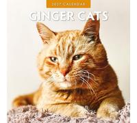 Ginger Cats - 2027 Square Wall Calendar - by Red Robin Publishing