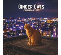 Ginger Cats Calendar 2027: Sunlit Felines in Cozy Everyday Scenes | 8.5 x 8.5 Inches