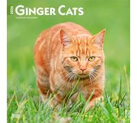 Ginger Cats - Gingerkatzen - Rote Katzen 2026 - 16-Monatskalender: Original BrownTrout-Kalender [Mehrsprachig] [Kalender]