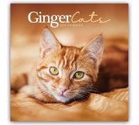 Ginger Cats - Rothaarige Katzen 2025 - Wand-Kalender: Original Carousel-Kalender [Mehrsprachig] [Kalender]