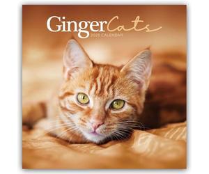 Ginger Cats - Rothaarige Katzen 2025 - Wand-Kalender: Original Carousel-Kalender [Mehrsprachig] [Kalender]