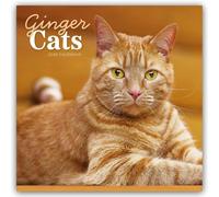 Ginger Cats Square Wall Calendar 2026 by Unknown Author | 2025