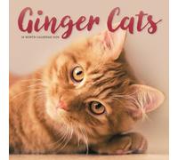 Ginger Cats Square Wall Sunday Start Cal