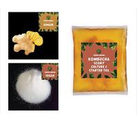 GINGER Kombucha Starter Tea make uoto10 litre of probiotic drinkKit for BeginnersCulture THICK SCOBY 100% Natural No Preservative Keto-Friendly, Low Sugar, Vegan, Gluten-Free