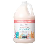 Ginger Lily Farms Botanicals Moisturising Shampoo for All Hair Types, Champagne Mimosa, 100% Vegan & Cruelty-Free, Citrus Blend Scent, Refill Pack