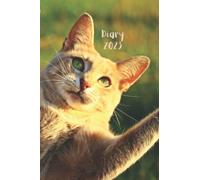 Ginger Ninja Cat Coming To Get You 2023 Diary UK Dates: 2023 Diary UK Dates