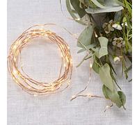 Ginger Ray 60 Rose Gold LED String Lights - Battery Operated - Beautiful Botanics