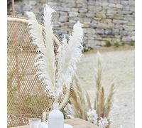 Ginger Ray Bleached Pampas Grass Decorations 5 Pack
