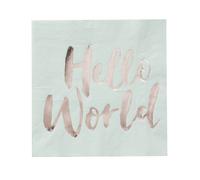 Ginger Ray Hello World Mint & Rose Gold Baby Shower Paper Napkins x 20 - Hello World