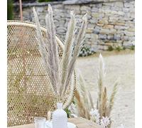 Ginger Ray Natural Dried Pampas Grass Decorations for Weddings and Parties 5 Stems