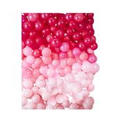 Ginger Ray Ombre Pink Balloon Latex Wall Party Decoration Alternative Arch Selfie Backdrop - Includes 210 balloons - Stargazer