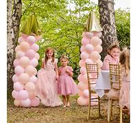 Ginger Ray Princess Birthday Party Fairy-tale Castle Entrance Balloon Arch Kit 103 pcs, Medium, Pink