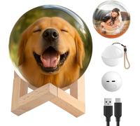 GINGER TECH Memory Orb Lamp, 2.7 Inch 3D Ultrasound Crystal Ball Digital Photo Album Video Sphere Player, Video Display Balls Gift for Family and Friends, Supports Wi-Fi