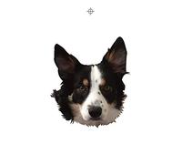 Ginger Wildheart - I Wanna Be Yours / No Regrets [VINYL]