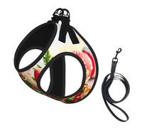 Gingerbread Man Candy Print Dog Harness Small Sized And Leash Set, Step In Soft Light Puppy Vest Breathable Mesh Pet Harness