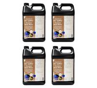 Gingerbread Pet Supply Premium Conditioned Betta Water with Natural Tannins - Bulk Case - 4 x 1 Gallon