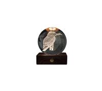 Gingko Design Amber Crystal Light - Kingfisher | Unique 3D Laser-Etched LED Art Lamp | USB Rechargeable Mood Light | Modern Ambient Table Lamp for Home, Bedroom & Gifts