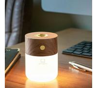 Gingko Essential Oil Burning Diffuser with LED Lamp,Long Lasting Rechargeable Battery,USB-C Cable Included,3 Lighting Temperature,Made from Natural Wood, Packed in Premium Gift Box,(White Ash)