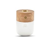 Gingko Essential Oil Burning Diffuser with LED Lamp,Long Lasting Rechargeable Battery,USB-C Cable Included,3 Lighting Temperature,Made from Natural Wood, Packed in Premium Gift Box,(White Ash)