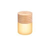 7 Colour Changing Lemelia Light White Ash Rechargeable Gingko Design Beige One Size