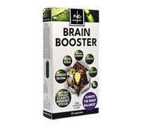 Ginkgo Biloba High Strength by NutraKing (32 Day Supply) - Brain Supplement for Focus with Ginkgo Biloba (500mg - 24% Flavonoids), Bacopa Monnieri (1200mg), Choline (50mg), Rosemary Leaf (250mg)