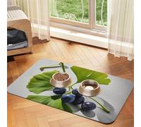 Ginkgo Leaves and Berries Dog Food Mats for Floors, 16x24 Inch Non-Slip Super Absorbent Pet Food Mat, Dishwasher Dog Mat for Food and Water, Cute Rubber Quick Dry Pet Feeding Mat for Dogs Puppy Cats