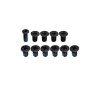 Gintai 11Pcs LCD Hinges Screws Replacement for Lenovo ThinkPad P16s Gen 1 21BT 21BU 21CK 21CL P16s Gen 2 21HK 21HL 21K9 21KA T16 Gen 1 21BV 21BW 21CH 21CJ T16 Gen 2 21HH 21HJ 21K7 21K8