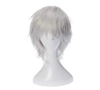 Gintama Gintoki Sakata Cosplay Wigs 35cm/13.8inches Short Silver White Men Synthetic Hair Perucas Anime Costume Role Play Wig KUJ3958