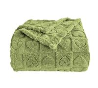 GIOKARNNA Heart Checkered Throw Blankets, for Love Mother Friends Pets,280 GSM Super Soft Warm Lightweight Fluffy Bed Blanket for Women Anniversaries(Sage Green,60"x80")