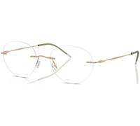 Giorgio Armani Man AR5147 3002 Vista frames Metal Gold Trasparente Panthos Normale