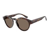 Giorgio Armani AR8146 502673 Woman Sunglasses Acetate Brown Brown Pantos Normal