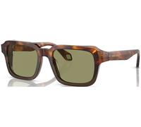 GIORGIO ARMANI 0AR8194U Sunglasses, Men, Multicolor (Multicolor), One Size