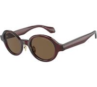 Giorgio Armani AR8205 606273 Men's Sunglasses Brown Size 46