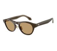 Giorgio Armani AR8225 619473 Man Sunglasses Acetate Brown Brown Round Normal