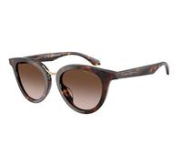 Giorgio Armani AR8252U 612413 Woman Sunglasses Acetate Turtle Brown Round Normal Nuanced