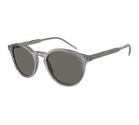 Giorgio Armani Man AR8211 6070R5 Sunglasses Acetate Grey Grey Pantos Normal